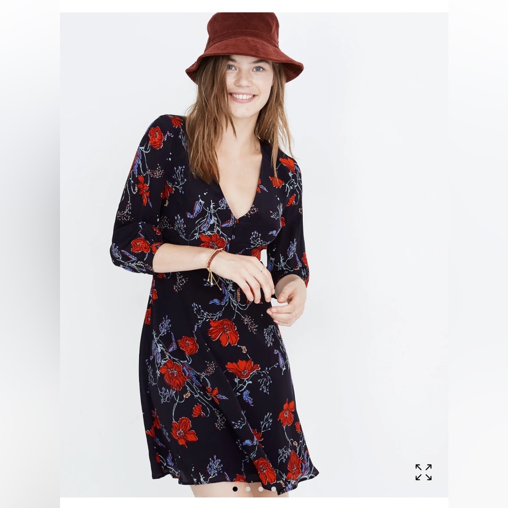 Madewell Silk Ruffle-Waist Dress in‎ Windblown Poppies Size 10